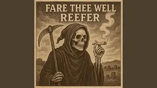 Siete