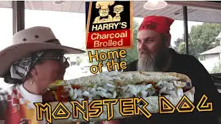 Гигантская собака-монстр, приготовленная на углях от Harry's