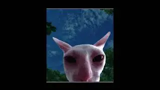 [free intro] shadowjames rm @xonea_ganteng #shadow #blowup #memes #shorts #fyp #invincible #cat