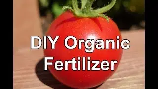 Make Your Own Organic Fertilizer....from weeds!