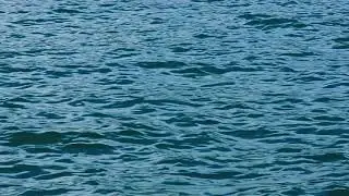 Water 4K | Free Public Domain Video Download