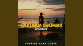 Vaxtında Gəlmədi