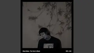 The Vein in Black
