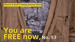 [Zhoumi photography] Setting free Deer No. 53