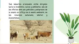 Las sequias