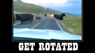get rotated idiot