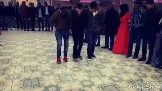 احلى رقص بيرتي شغل درباسية