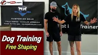 Dog Training - What is Free Shaping