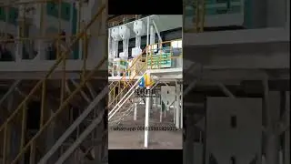 Fully Automatic 60TPD Rice Milling Plant | High Efficiency Rice Processing Line #machine #factory