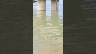 आज सुबह live फाफामऊ बढ़ का दृश्य 😱😱😱 #shorts #badh #flood #prayagrajvlog #phaphamau
