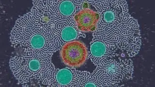 Audio Reactive Generative Art - Algorithmic Life