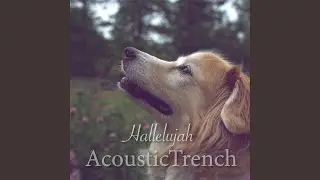 Hallelujah
