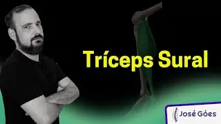 Tríceps Sural | José Góes