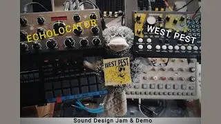 Echolocator + West Pest (Pittsburgh Modular) - Sound Design Demo & Jam #dark