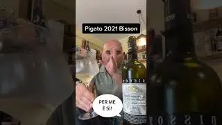 Cantina Bisson. Pigato 2021