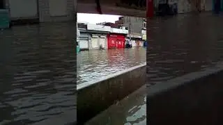 Daska sanitation