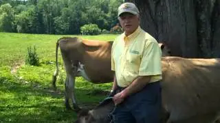 Raw milk, open space, humane animal welfare, healthy living: Sve Eastleigh Farm.