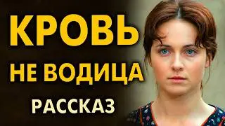 &laquo;Ты мне не дочь!&raquo; &mdash; кричала мать, а после смерти отца на пороге появилась ОНА с жуткой правдой...