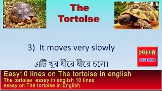 Easy10 lines on The tortoise in english/ The tortoise  essay in english 10 linesessay on TheTortoise