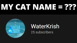 CAT NAME REVEAL! 25 subs special