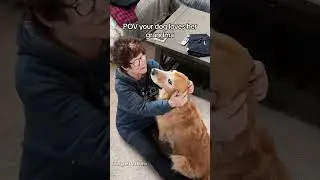Grandma is definitely dog&rsquo;s favorite person❤️❤️❤️#dog#dogvideos #funnydog#fyp