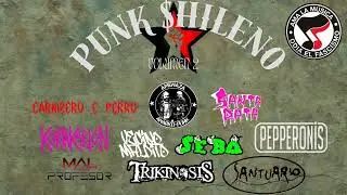 Compilado Punk Chileno Volumen 2 - VIGO-