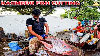 GIANT MANGROVE JACK FISH CUTTING🔪 💥😮 KASIMEDU FISH CUTTING | FISH CUTTING SKILLS | #kasimedu