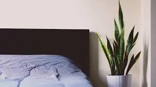 Clean Up Your Space with This Guided Meditation