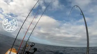 Strike on the Kayak