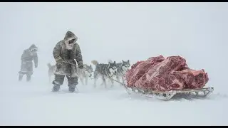 🧊 Transporting 2 Tons of Seal Meat Through the Yakutian Mountains  9 Hours of Survival at &minus;71&deg;C