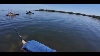 Kayak Fishing Adventure in St. Petersburg, Florida, Trout and Tarpon Hunting