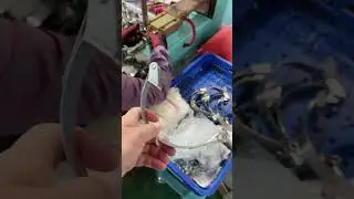 Exhaust V band clamp producing