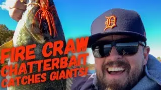 The Fire Craw Chatterbait catches GIANT BASS! Jack Hammer Chatterbait is WORTH THE MONEY!