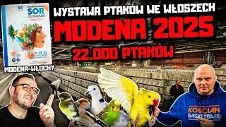 #42 WYSTAWA PTAKÓW - WŁOCHY! INTERNATIONAL SOR MODENA 2025.