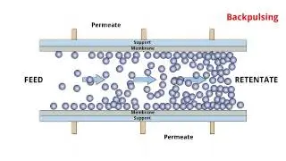 POREX&reg; TMF - Cross flow filtration process