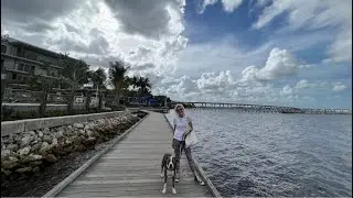 LIVE Exploring Historic Downtown Stuart & Riverfront in Florida w/ Hudson the Dog August 19, 2023