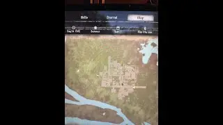 New Beginnings in Swamp
