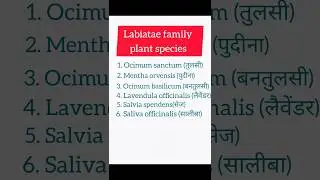 #labiatae family #lamiaceae family example
