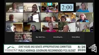 8/28/2020 - Vermont House and Senate Committees on Appropriations Public Hearing