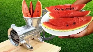 GRINDER WHOLE WORLD | EXPERIMENT: Watermelon Vs MEAT GRINDER