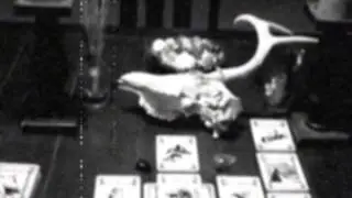 The Horror Station short film. Music, Direction and editing by Lucifer Fulci