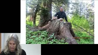 Forest Defense is Climate Defense
