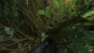 Miscreated 2025 02 04 DD MK18 fight
