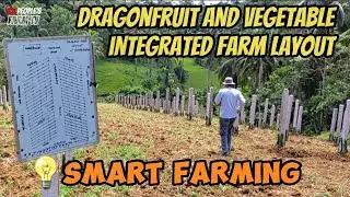 Vlog #85 Integrated Farm Layout | Dragonfruit, Vegetables, Stingless Bees