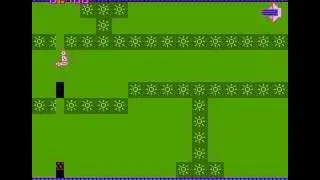 Micro Mike last stage TAS run