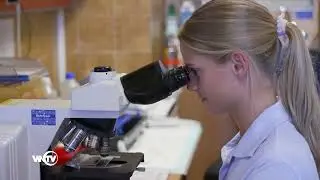 Klinische Institut f&uuml;r Labormedizin in der Thermenregion am UK Wiener Neustadt