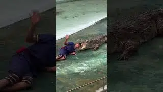 Unbelievable! Man Performs Extreme Stunts with a Giant Crocodile!#ExtremeShow #ViralVideo #MustWatch