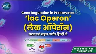 NEP BSc II (Sem-III) Unit -III  Part I (Gene Regulation in Prokaryotes | Lac Operon) #neet #biology