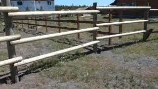 P1000152