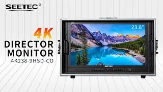 SEETEC 23.8